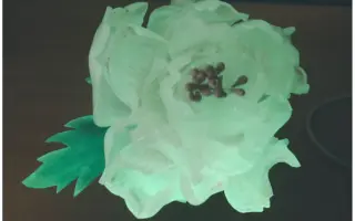 夜光花 搜索结果 哔哩哔哩 Bilibili