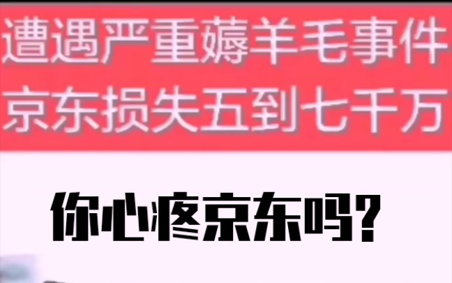 京东被撸羊毛事件损失惨重,你心疼京东吗?反正我前几天跟着买了0的烤箱,15的空调!哔哩哔哩bilibili