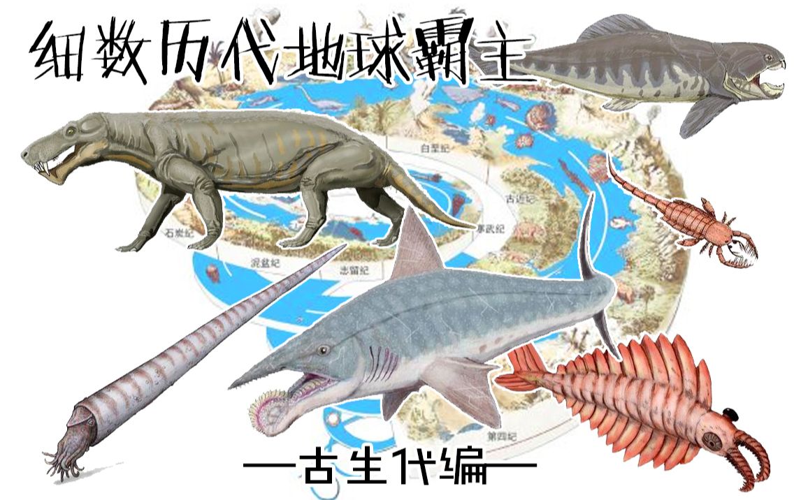 堪称史诗!12分钟从原始生命到人类时代,看地球生命演化史!