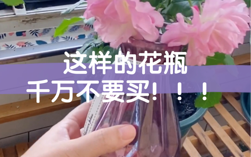 [图]要想月季花插瓶效果好，选好花瓶很重要！