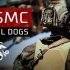 美国海军陆战队 - DEVIL DOGS