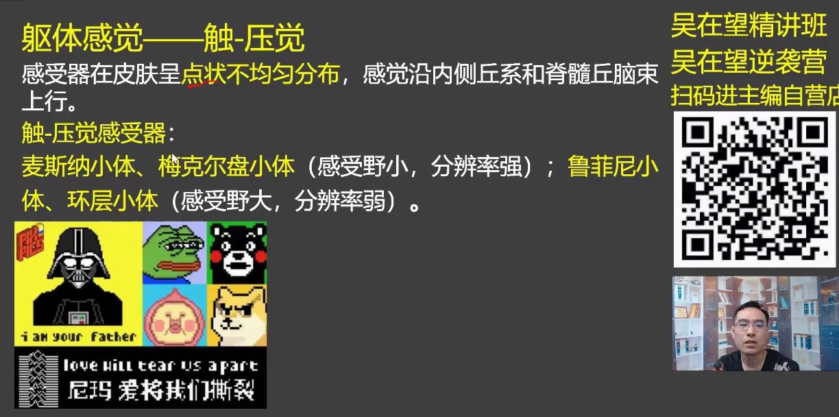 39难点专攻吴在望2021生理学第九章感觉器官2视觉哔哩哔哩bilibili