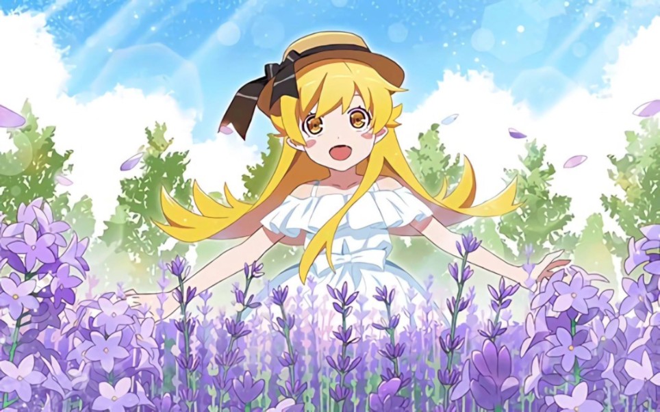 《物语系列》小忍混剪