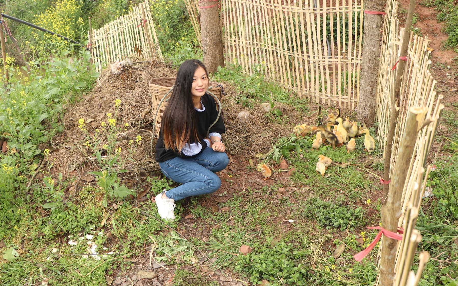 四川农村天气很冷,为禁止鸭子下水,美女村花想到奇特办法