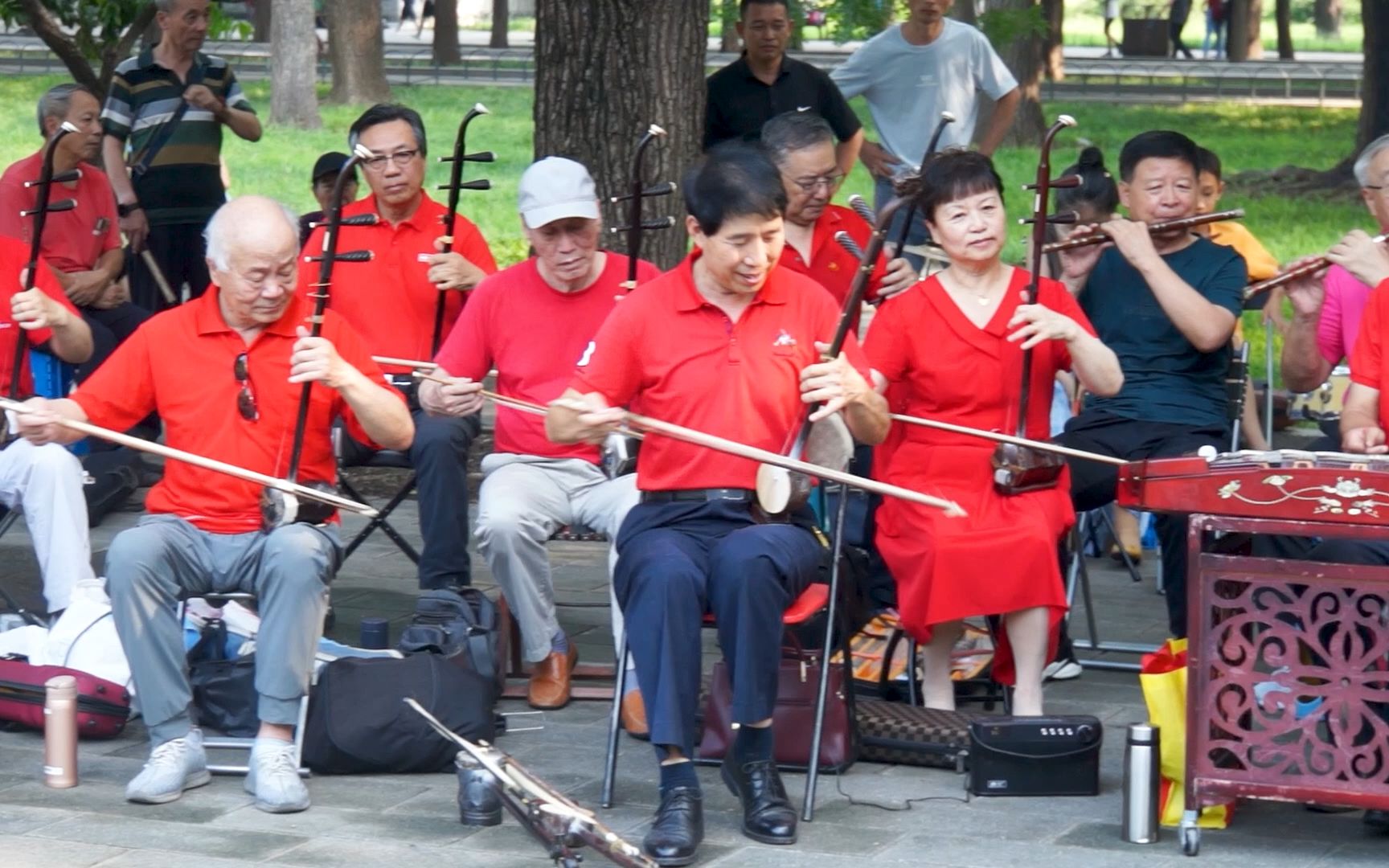 [图]民乐演奏《花儿与少年》，北京天坛琴之声民乐队