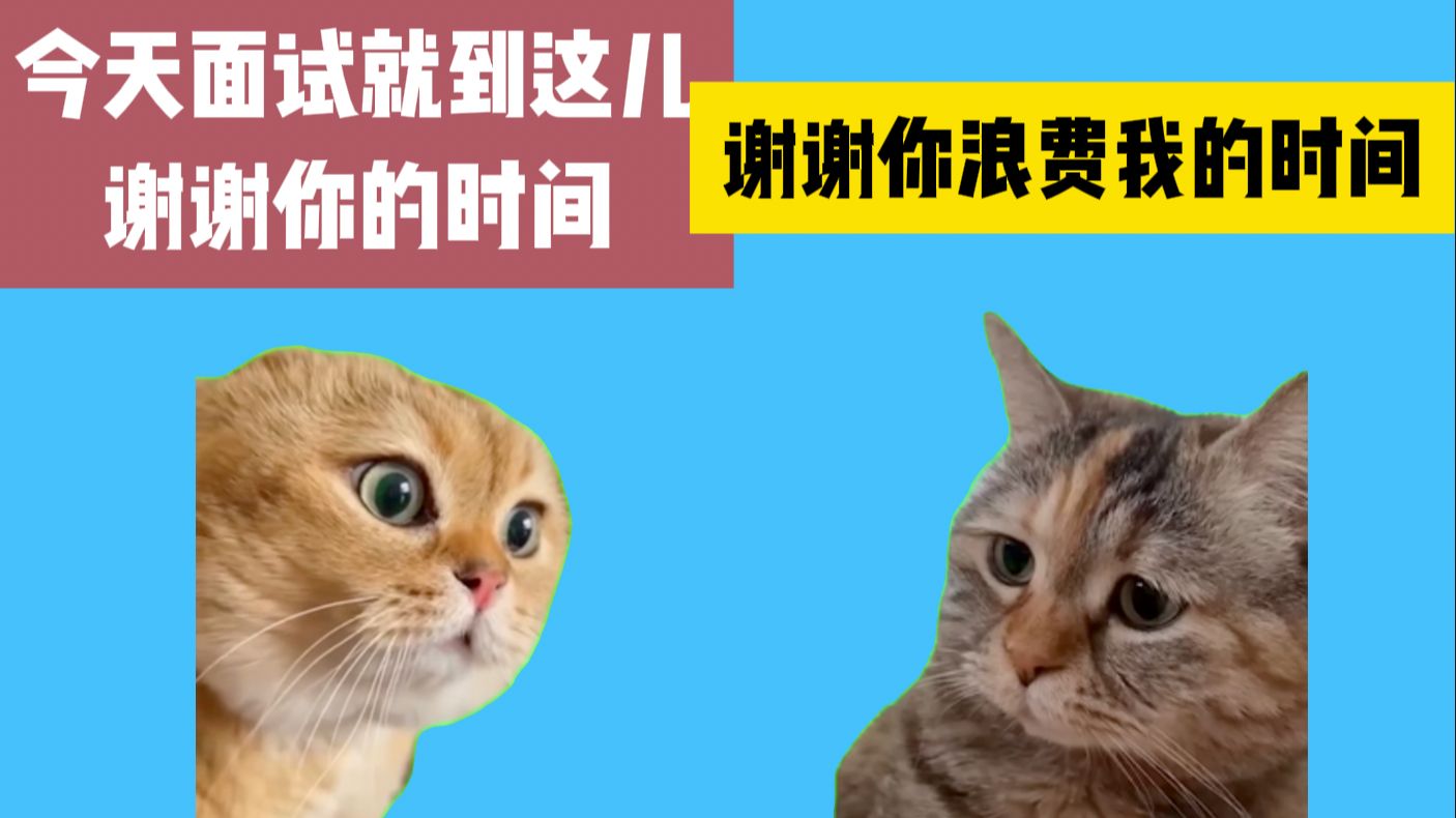 【面试终篇】台湾小哥到大陆求职,但是面不明白这些公司|猫meme哔哩哔哩bilibili