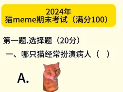 猫meme期末考试