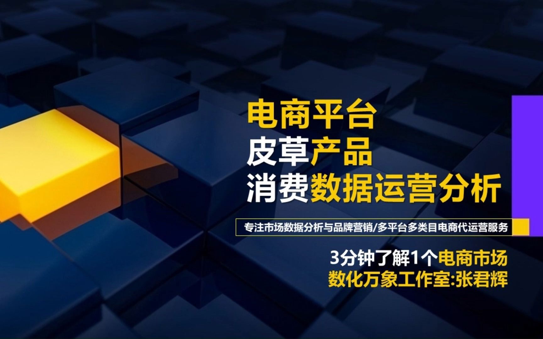 电商平台:皮草产品消费数据运营分析【数化万象工作室】哔哩哔哩bilibili