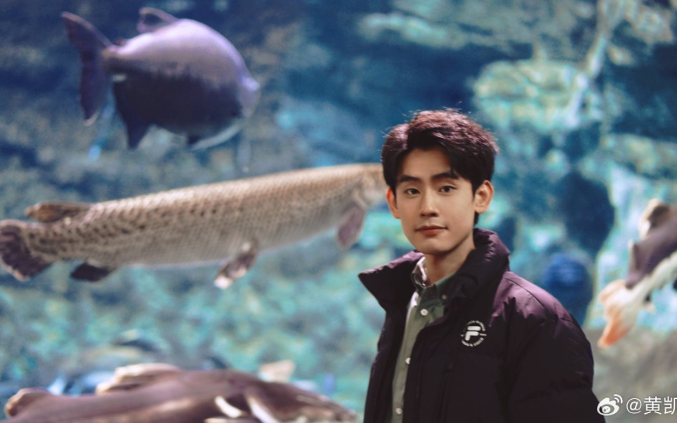 【黄凯】预告片来喽 1.17offer尽调局开播