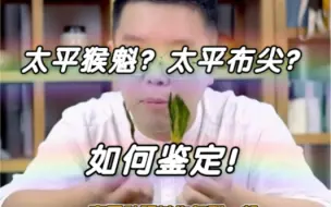 Descargar video: 鉴定太平猴魁两句话：猴魁两头尖，不散不翘不卷边。太平猴魁芽两叶，形扁暗绿方为佳