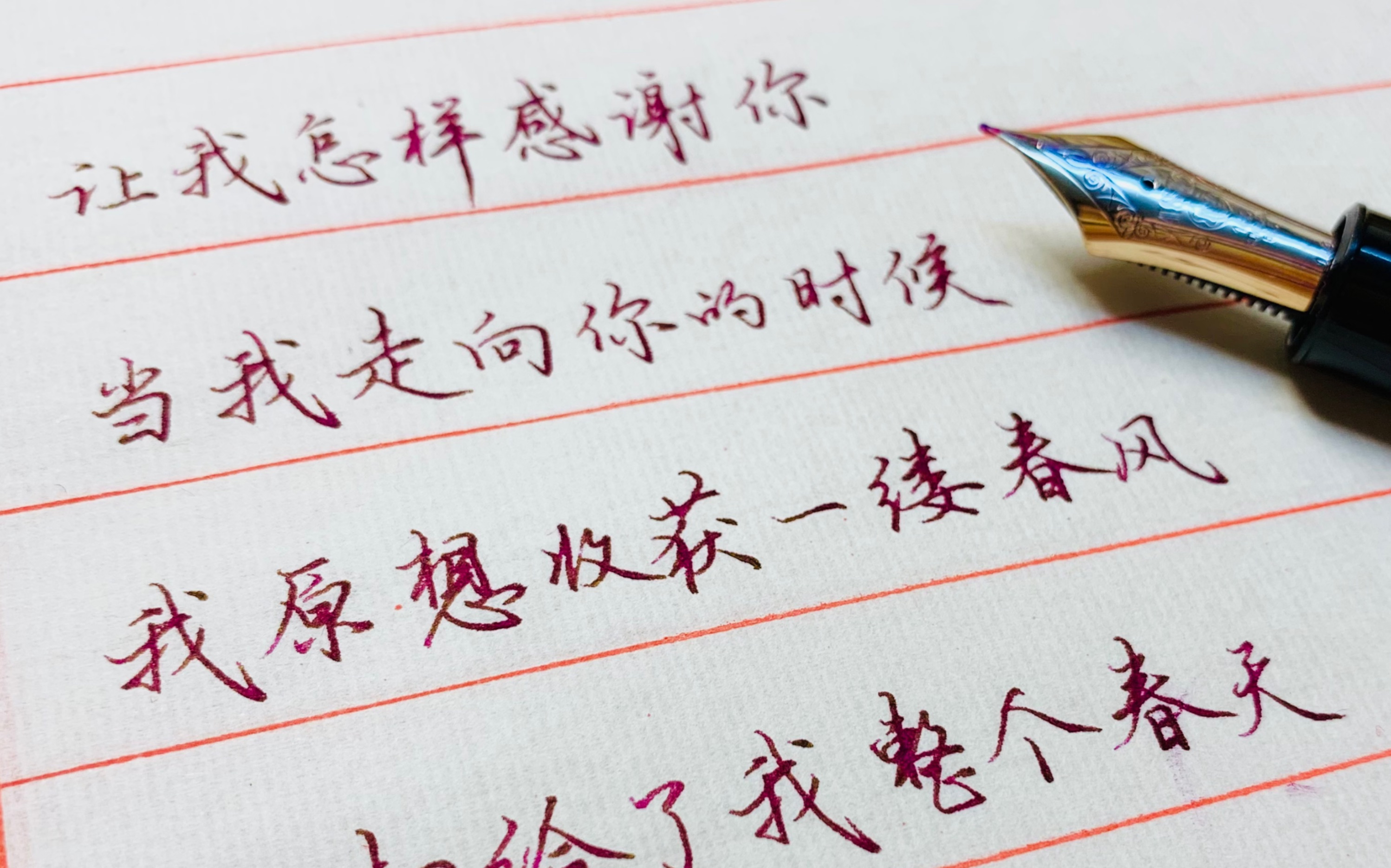 钢笔抄写我原想收获一缕春风你却给了我整个春天万宝龙14914c行楷书写