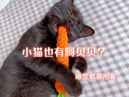 Download Video: 小猫超爱的胡萝卜玩具，教程视频已发，家里有材料的快学起来吧，需要材料包的去橱窗看看吧