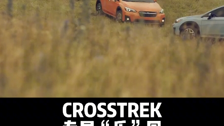 一台有性格,爱玩乐的车,时常需要撒点野 #crosstrek #斯巴鲁 #越野 @斯巴鲁中国哔哩哔哩bilibili