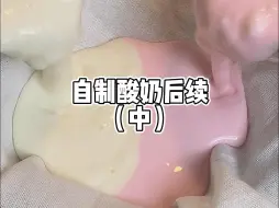 Download Video: 自制酸奶后续！酸奶永动机吃法算弄明白了