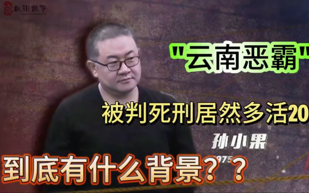 云南恶霸孙小果,被判死刑,居然还可以多活20年,他究竟有什么背景?