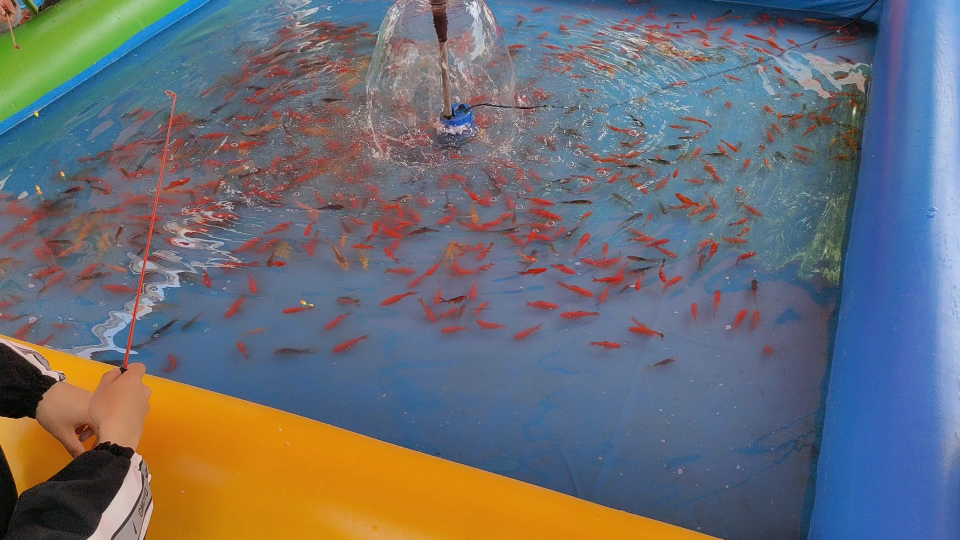 钓金鱼_哔哩哔哩_bilibili