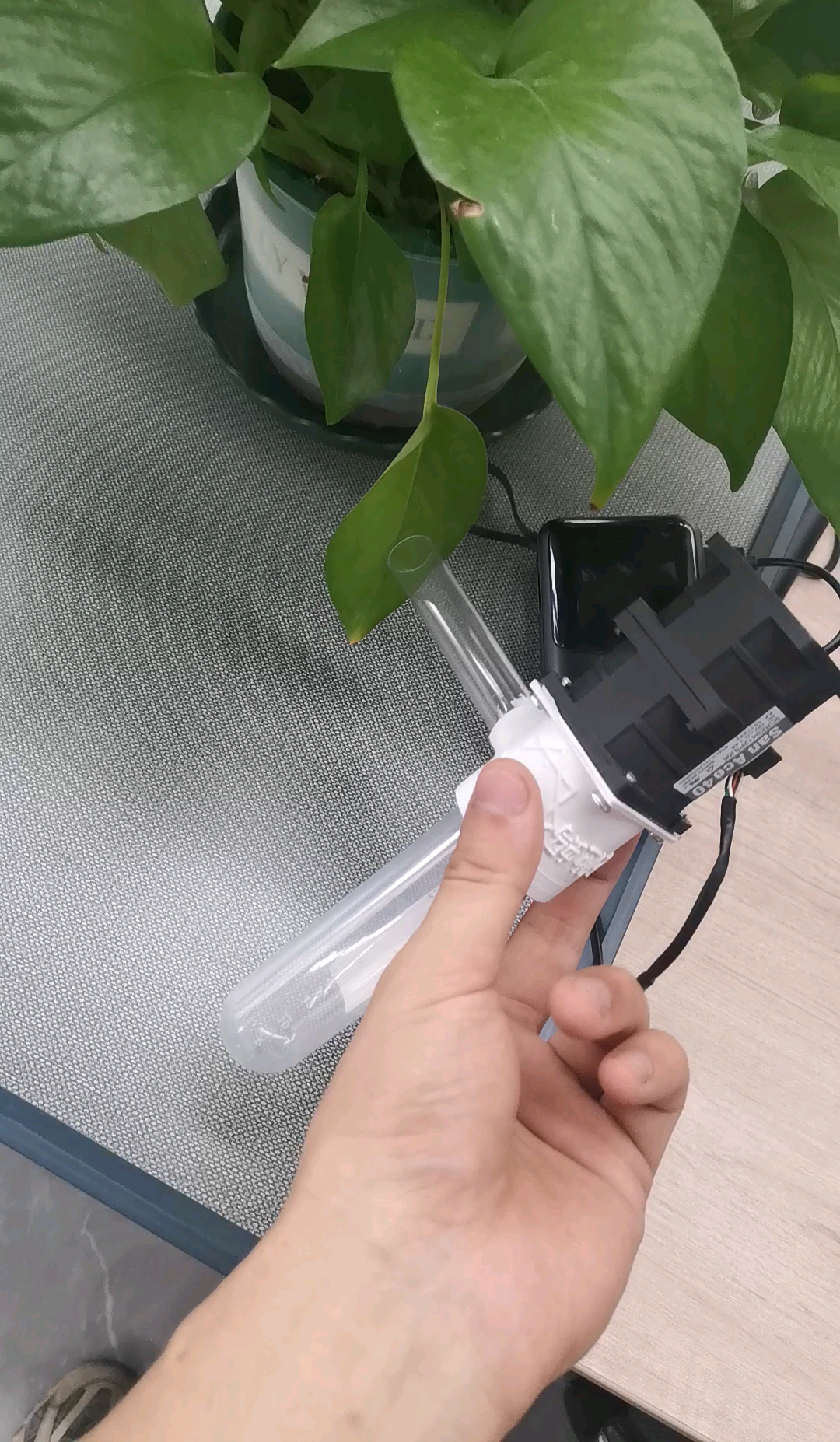bt神器蚂蚁=bt 下载蚂蚁
