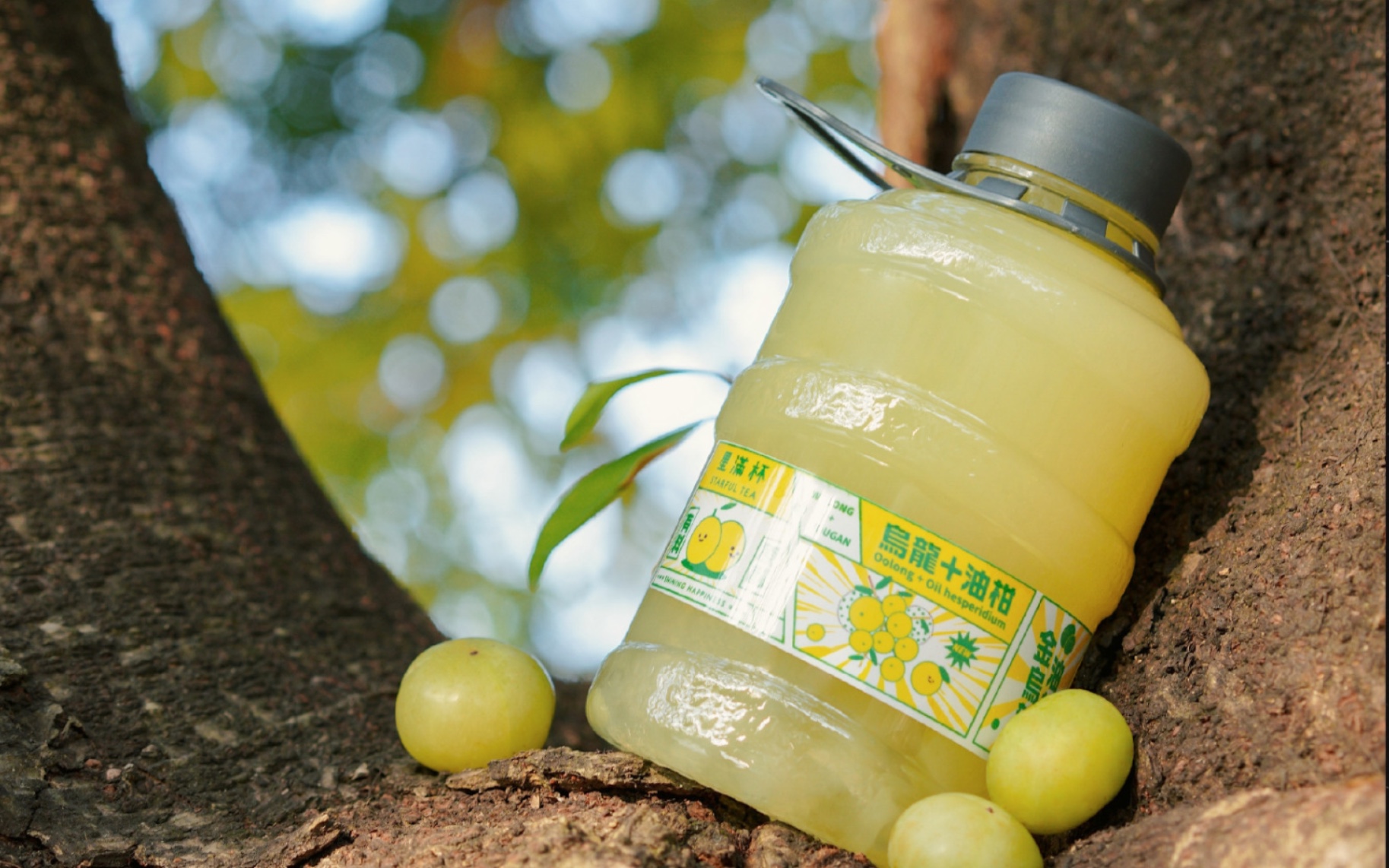 有料油柑王闪亮登场0761ε6107