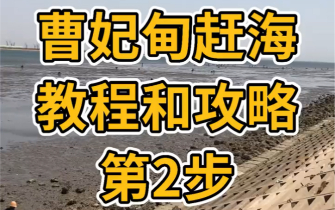 曹妃甸赶海详细教程路线地点及攻略第二步,赶海工具哔哩哔哩bilibili