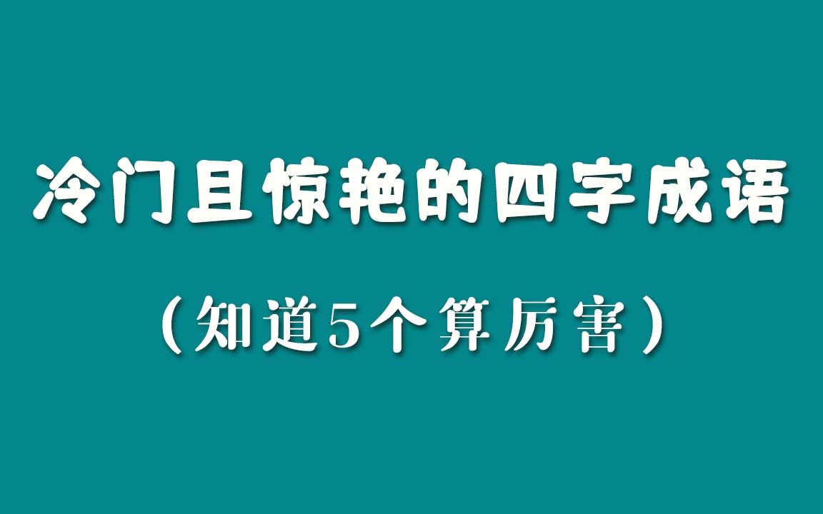 那些小众却一眼惊艳的冷门成语!哔哩哔哩bilibili