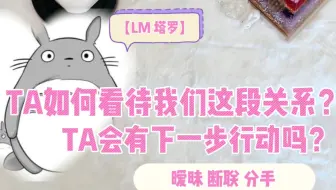 【LM塔罗】TA如何看待我们这段关系？TA会有下一步行动吗？