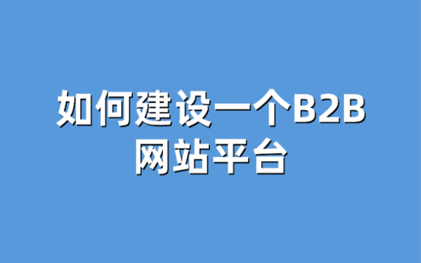 如何建设一个B2B网站平台广州软件开发公司哔哩哔哩bilibili