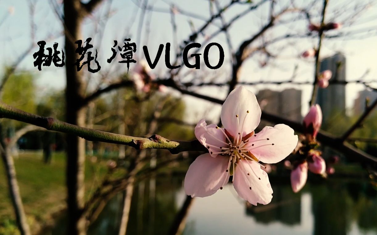 [图]桃花潭VLGO