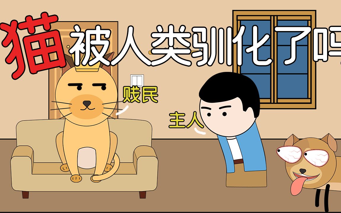 [图]猫真的被人类驯化了吗？可爱外表下的恐怖野性，古代身份比皇帝更高贵！