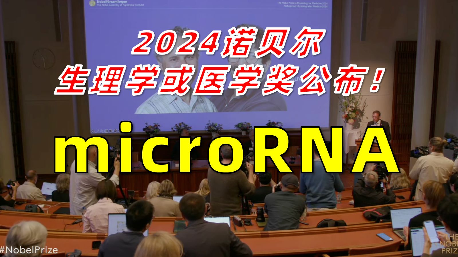 【诺奖现场】miRNA获2024诺贝尔生理学或医学奖!哔哩哔哩bilibili