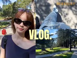 Descargar video: 🇺🇸留学vlog/我独自生活伯克利版:) 自制蛋黄酥 拼家具🪑上学日记🎒