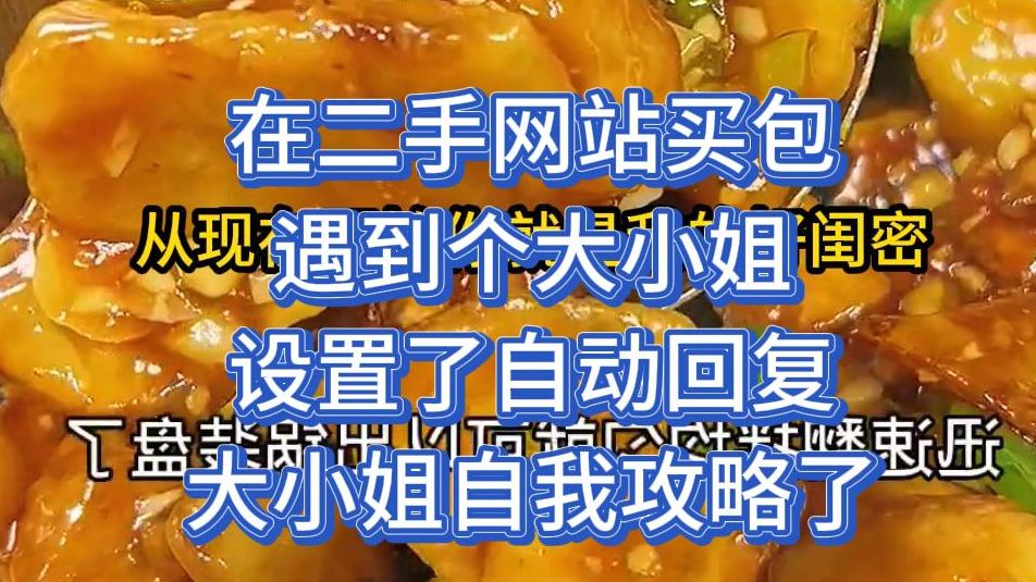 在二手网站买包 遇到个大小姐 设置了自动回复 大小姐自我攻略了哔哩哔哩bilibili