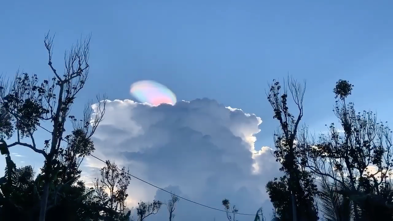 一位网友无比幸运拍到了一片彩色荚状云,看起来也太梦幻了吧!