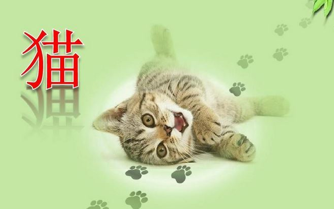 【课件】《猫》部编人教版四年级语文下册YW04B048哔哩哔哩bilibili