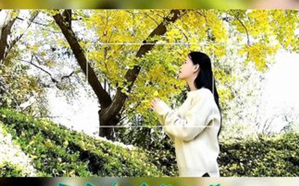 [图]初闻不知曲中意再听已是曲中人谁是谁非爱与恨满身的伤痕昔日浪漫的回忆如今早已变陌生