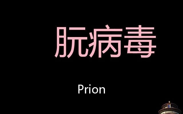 朊病毒 Chinese Pronunciation prion哔哩哔哩bilibili