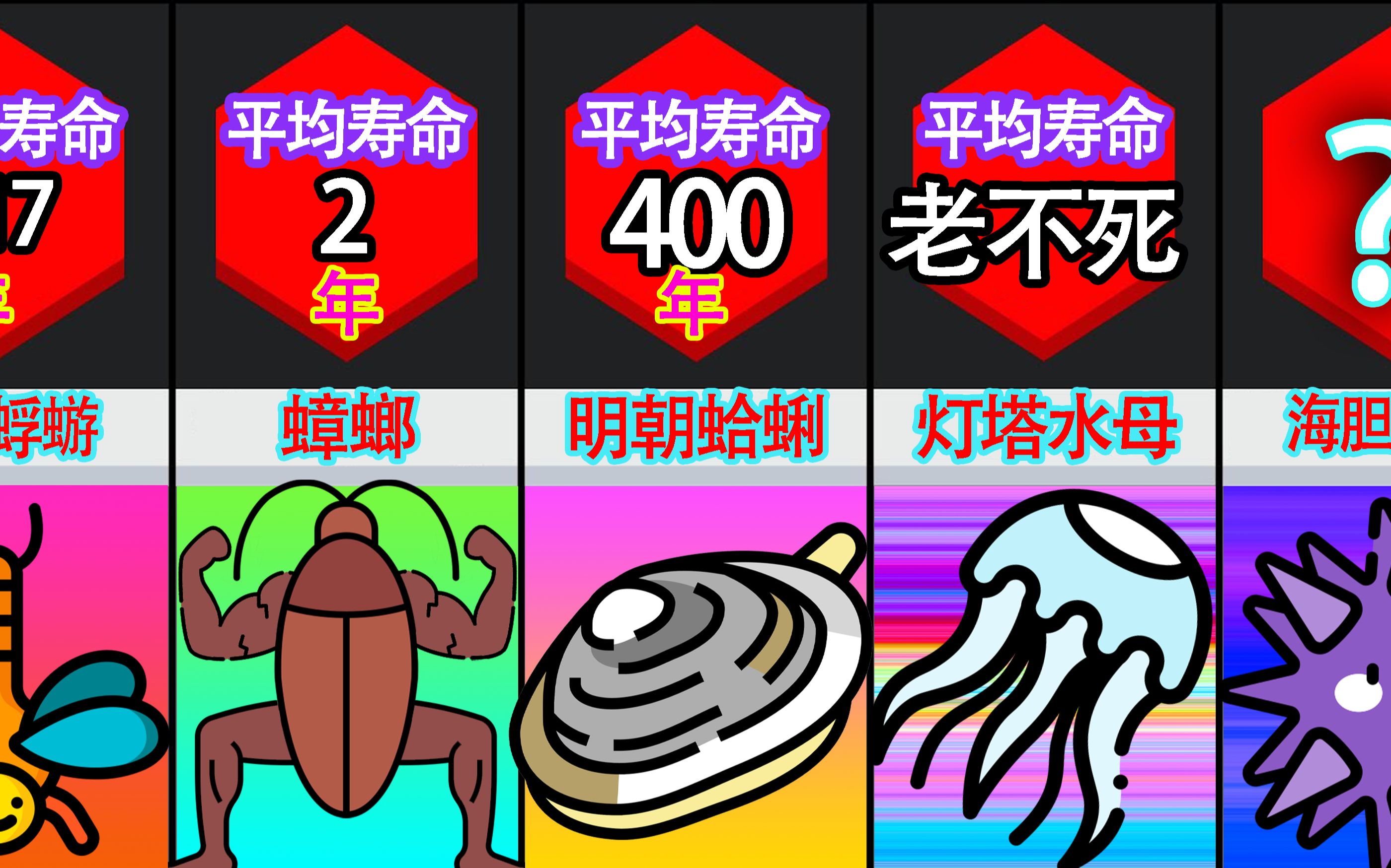 盘点那些碳基生物的寿命,谁是老毕登?