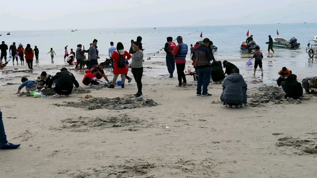 [图]2月9号北海，阴8-12度，旅居近四个月后总结，北海过冬只适合过半个冬