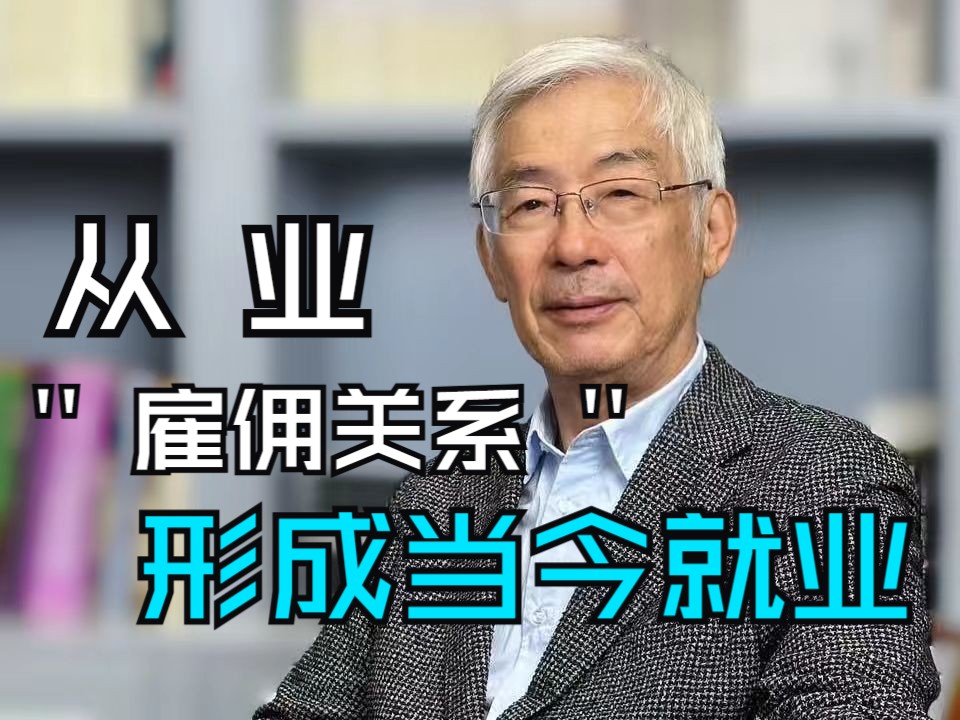 从就业到从业:工业社会的雇佣关系形成就业哔哩哔哩bilibili