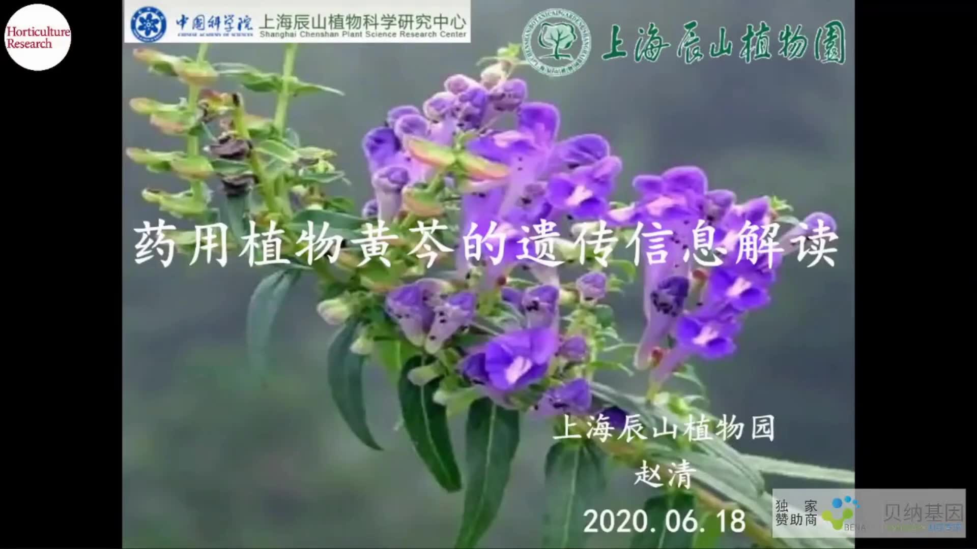 [图]药用植物黄芩的遗传信息解读—赵清副研究员