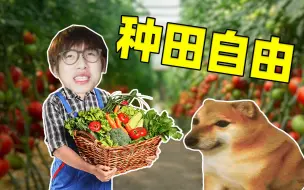 Tải video: 种菜种到走火入魔！