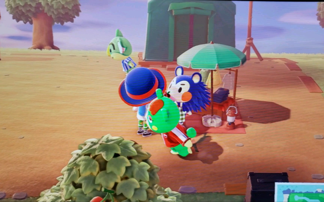 动物之森小动物真会玩