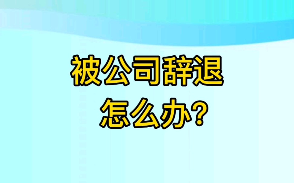 被公司辞退怎么办?哔哩哔哩bilibili