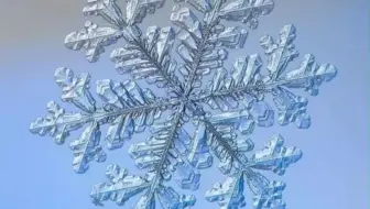 CAD绘制六边形雪花图案