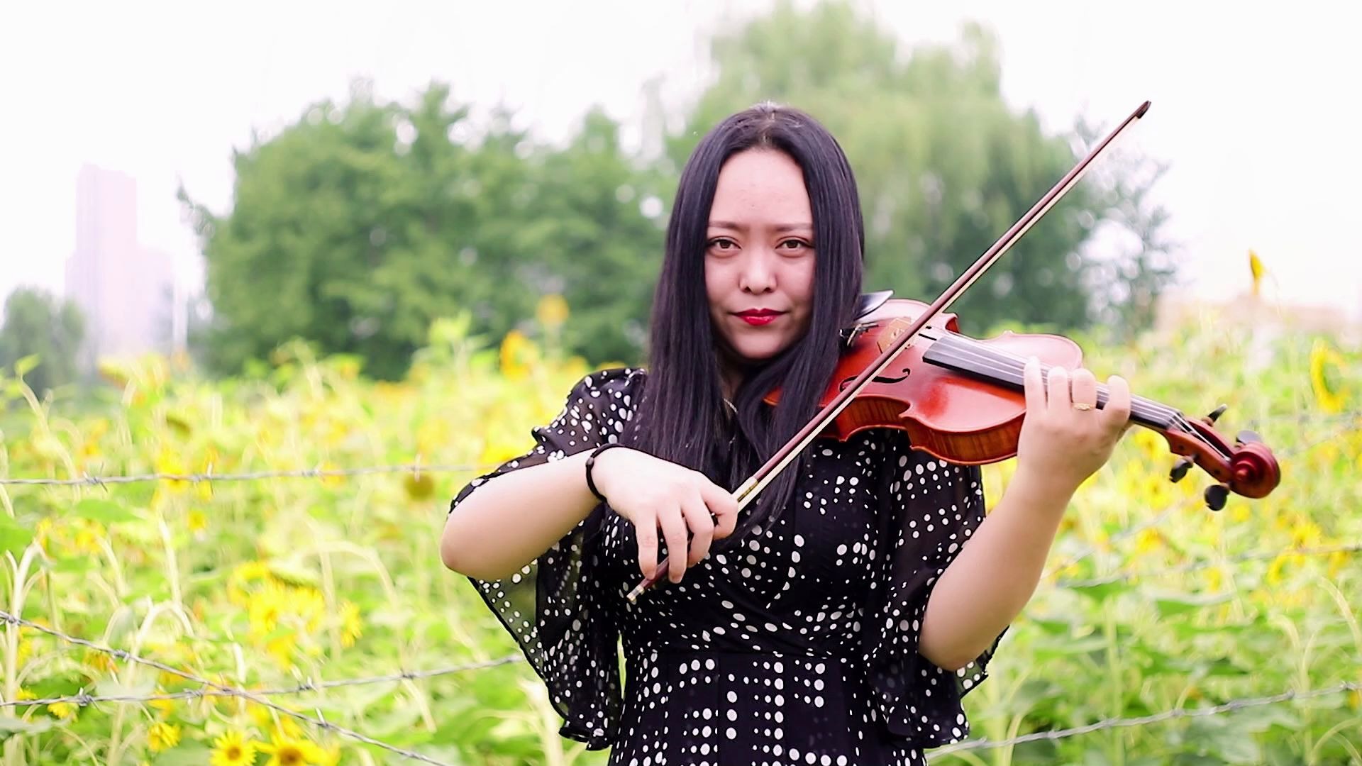 活动作品小提琴菊次郎的夏天summer久石让