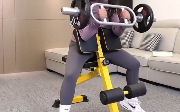 罗马椅多功能哑铃凳家用牧师凳仰卧起坐腹肌板山羊挺身器健身椅子