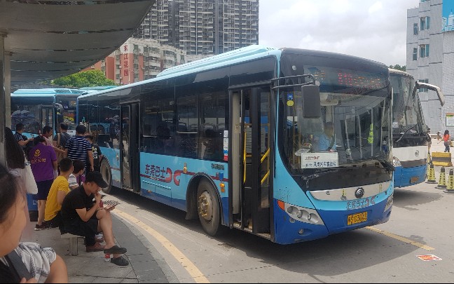 【东莞巴士】810路全程前方原声原速pov(东莞东火车站→凤岗汽车站)