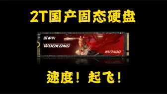 Descargar video: 国产2T固态硬盘强势雄起，就是比你便宜，比你猛！