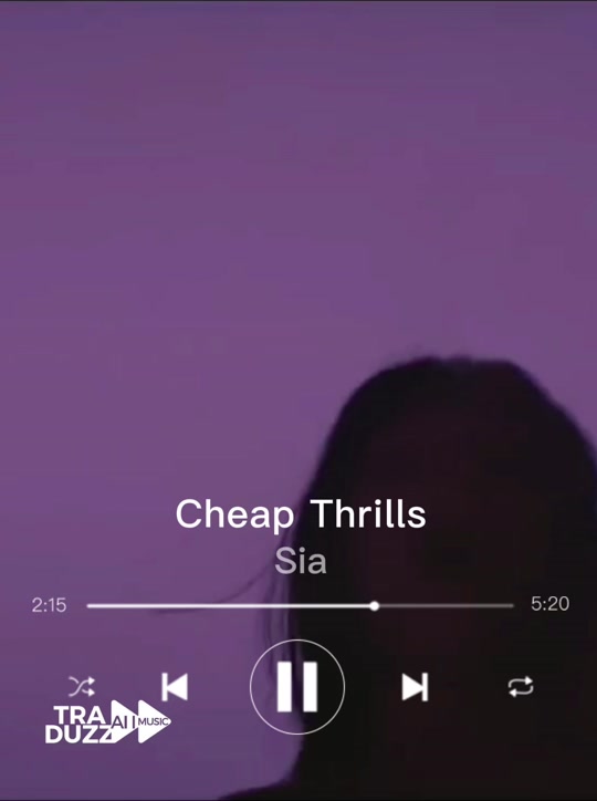 sia 廉价刺激