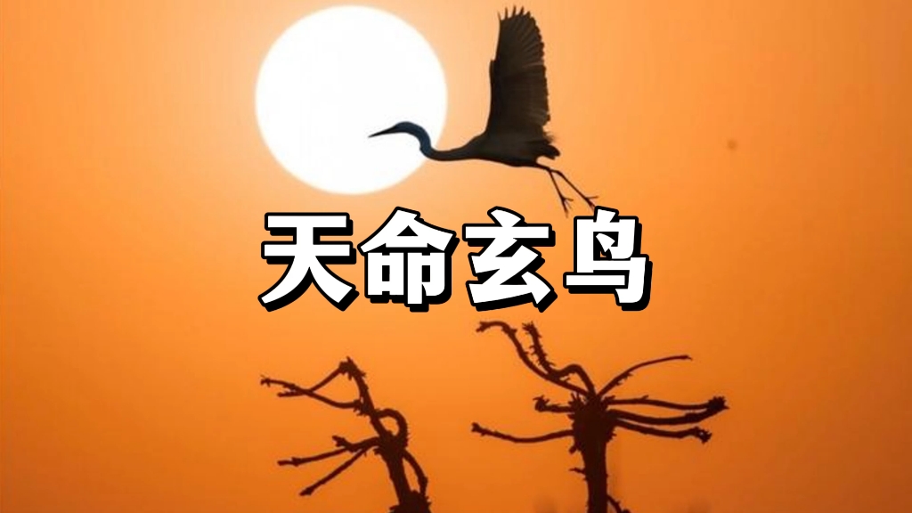 玄鸟是什么鸟?是燕子吗?玄鸟是商代人的先祖吗?哔哩哔哩bilibili