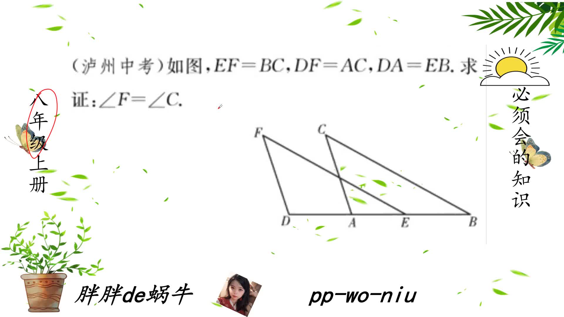 全等三角形3八上数学